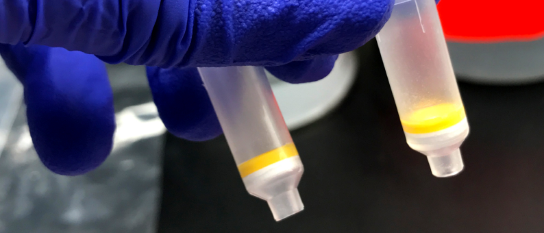 Medical Diagnostics